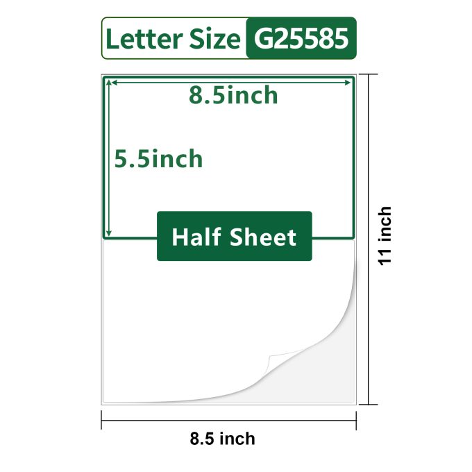 Gemsroyal Labels are Made with Avery World-Class Raw Materials,Shipping and Address Sticker Paper for Laser/Inkjet Printers,Matte White Adhesive Labels,fully Compatible with the Templates of Avery 5165、5265、8165,Large Labels,US Letter Size